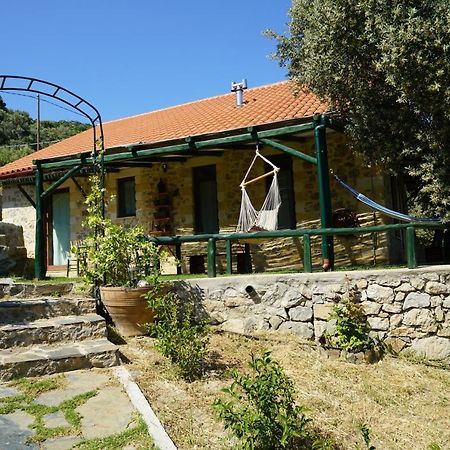 Elpida Country House -Paleochora-Anidri Exteriér fotografie