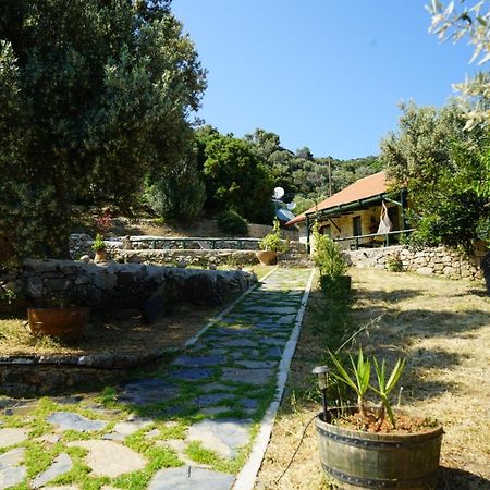 Elpida Country House -Paleochora-Anidri Exteriér fotografie